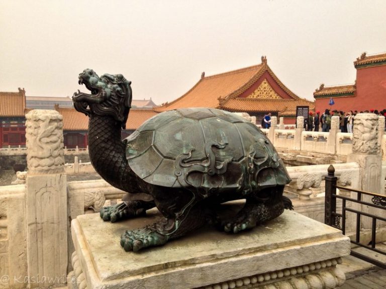 metal turtle sculpture