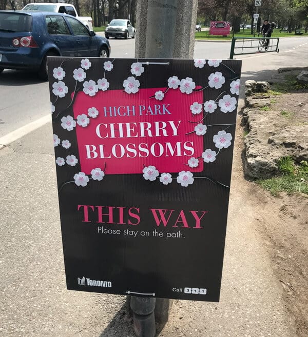 signage for cherry blossoms in toronto