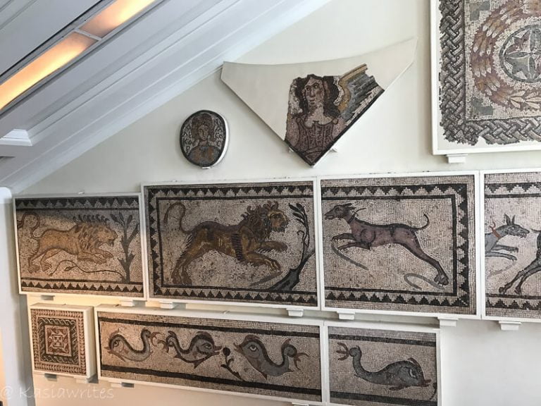 why do people visit museums? to see mosaics