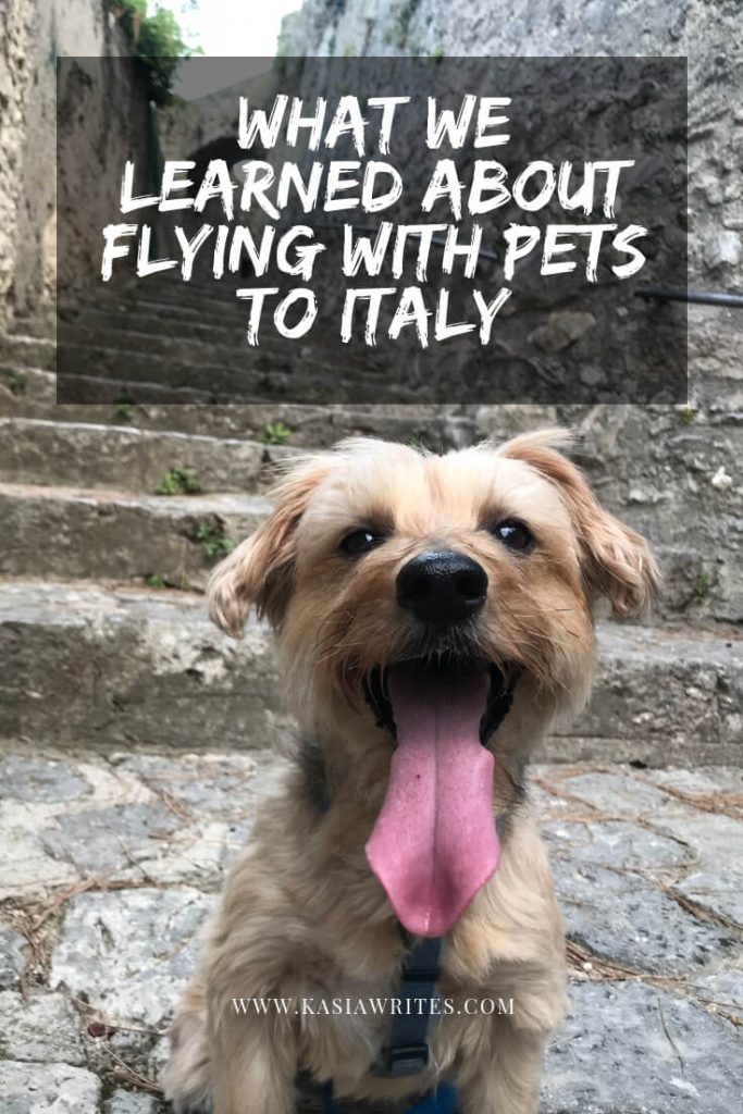 flying with pets