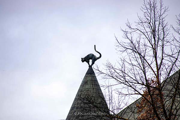 Cat statue on top of the Cat Building in Riga