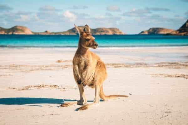 Unique Travel Destinations Australia