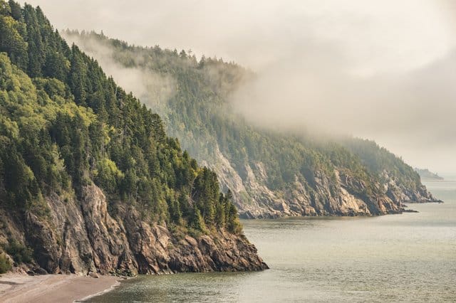 view of the Bay of Fundy coast shrouded in fog