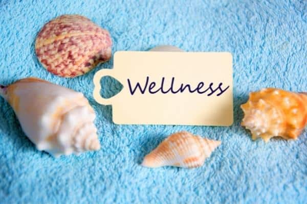 wellness sign between seashells on a blue towel